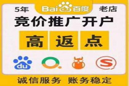 竞价排名在电商行业的实战案例